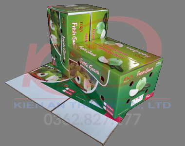 Thùng carton 5 lớp bồi in offset